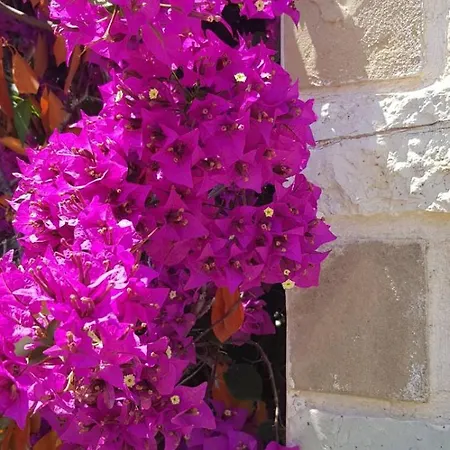 Apartmán ισόγειο στη φύση Nerántza